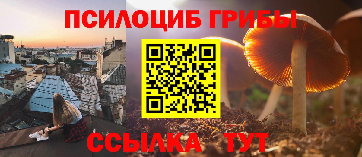 Псилоцибиновые грибы Magic Shrooms Обнинск