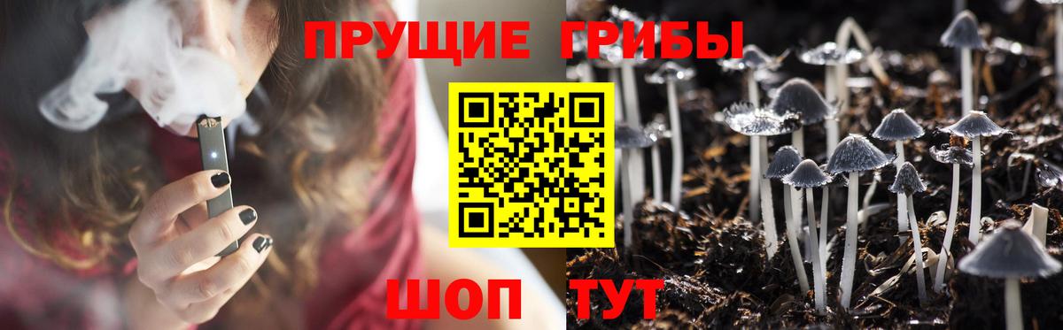 Обнинск  Галлюциногенные грибы Psilocybine cubensis  Вход с VPN  Галлюциногенные грибы MAGIC MUSHROOMS 